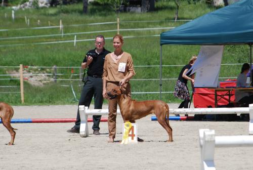 Ubangis Almasi Macuma