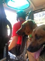 hubschrauberflug_st_johann_5040