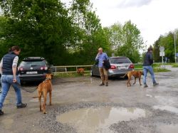 makakadi_nachwuchstreffen_feldkirch_2015_P1030713