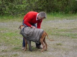 makakadi_nachwuchstreffen_feldkirch_2015_P1030781