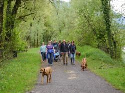 makakadi_nachwuchstreffen_feldkirch_2015_P1030827