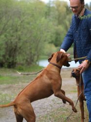 makakadi_nachwuchstreffen_feldkirch_2015_P5029285