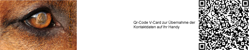 Kontakt Desiree Achammer Makakadi