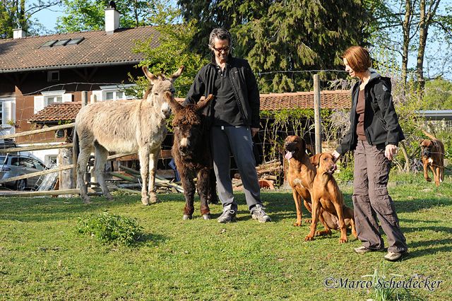 Unsere kleine Farm in Feldkirch