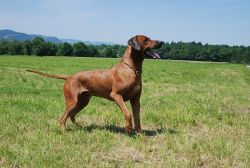 20100627_Lisimba_Adongo_0044