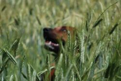 20100627_Lisimba_Adongo_0056