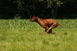 20100627_Lisimba_Adongo_0163