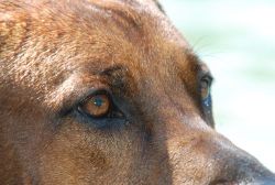 20100627_Lisimba_Adongo_0213