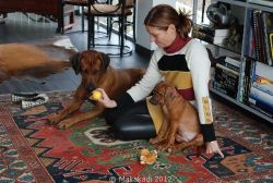 20110106_Lisimba_Adongo_0262