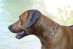 20111105_shakawe_lisimba_adongo_makakadi__achammer_30