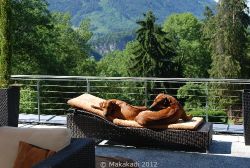 20110605_Makakadi__0122